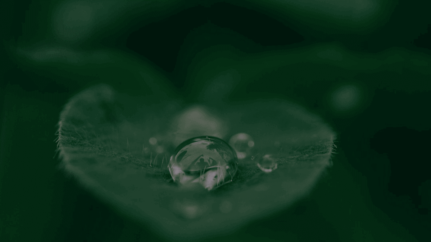 Dokploy的极简教程 Dokploy的极简教程