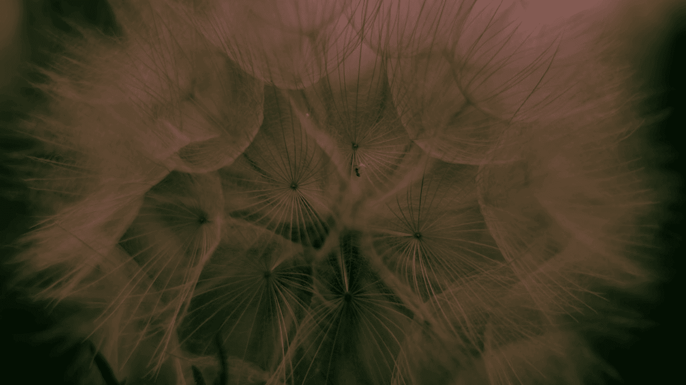 面试指南之算法面试心得 面试指南之算法面试心得